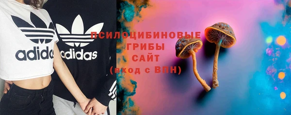 2c-b Слюдянка