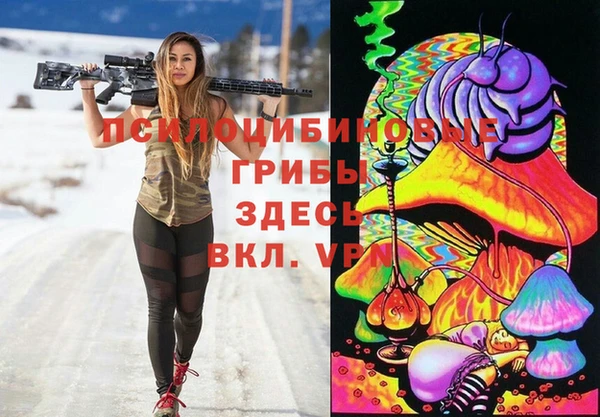 стаф Снежинск