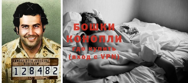 гидропоника Снежногорск