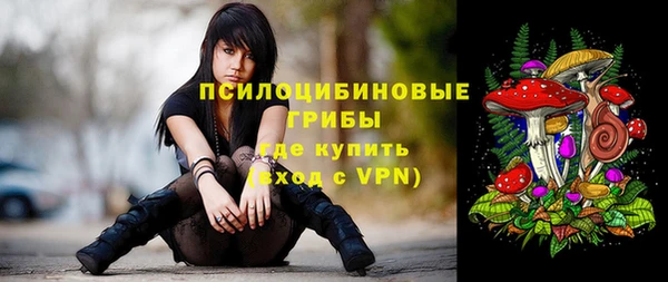 гидропоника Снежногорск